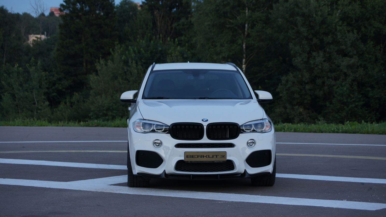 Сплитер для обвеса Berkut BMW X5 F15