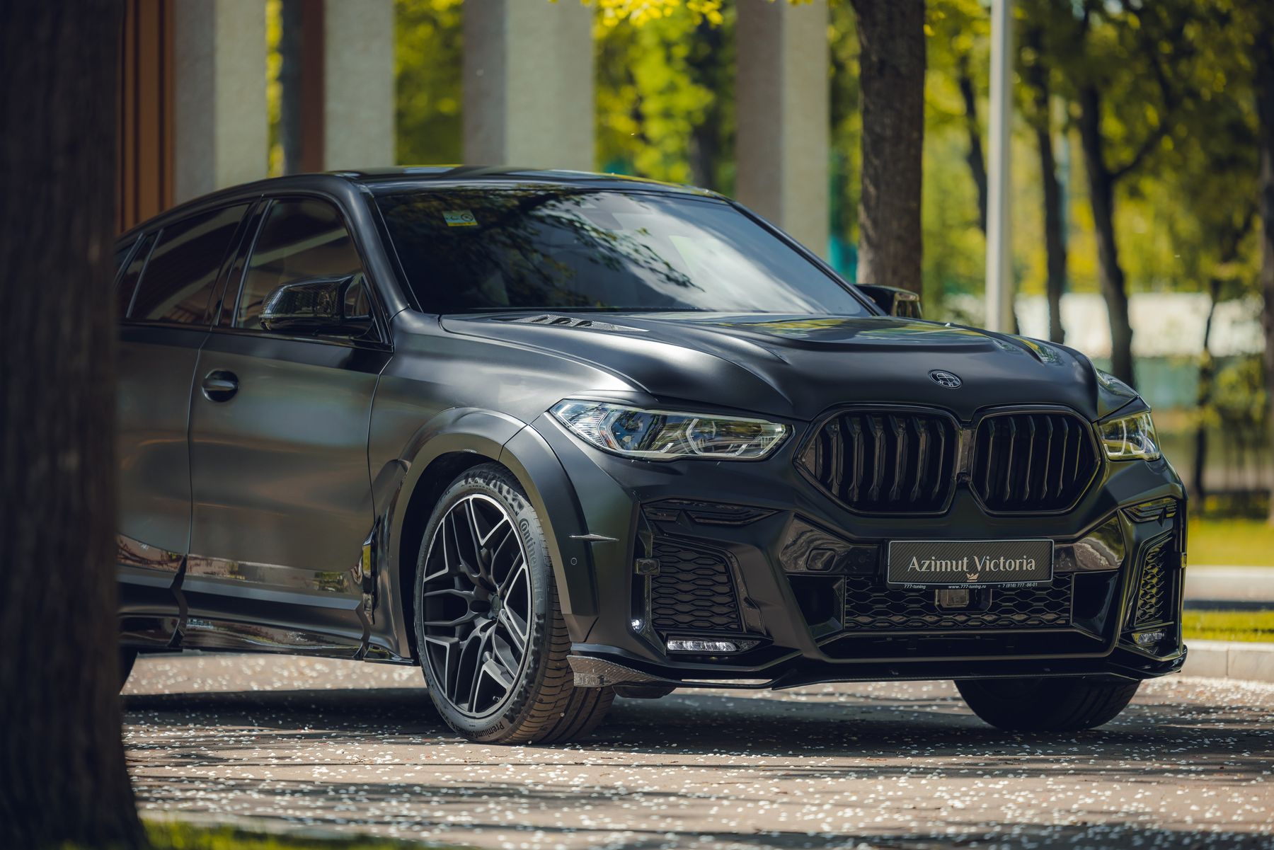 FERZ для BMW X6